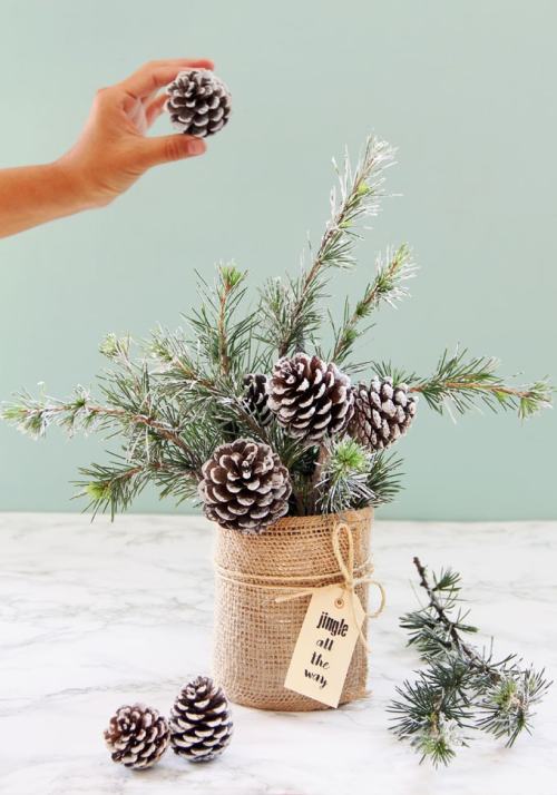 15 DIY Rustic Christmas Centerpieces - Rustic Christmas Centerpieces, Rustic Centerpieces, Rustic Centerpiece, DIY Christmas Centerpieces, Christmas Centerpieces