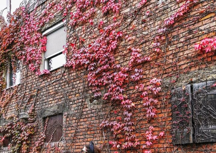 15 Foolproof Winter Outfit Ideas to Get You Through Your Style Rut (Part 2) 15 Foolproof Winter Outfit Ideas to Get You Through Your Style Rut (Part 2) - winter outfit ideas, coat winter outfit ideas