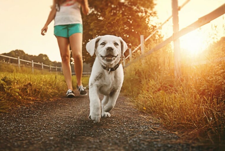 Fun and Easy Ways to Get Off the Couch and Get Moving Fun and Easy Ways to Get Off the Couch and Get Moving - workout video games, video games, basketball