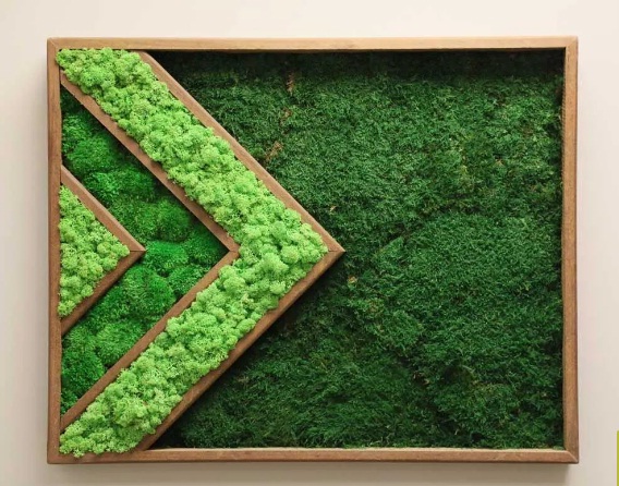 Beautiful Moss Wall Ideas for Your Home - Moss Wall Ideas, Moss Wall, moss