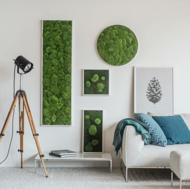 Beautiful Moss Wall Ideas for Your Home - Moss Wall Ideas, Moss Wall, moss