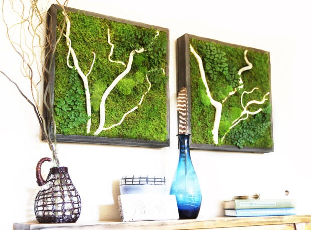 Beautiful Moss Wall Ideas for Your Home - Moss Wall Ideas, Moss Wall, moss