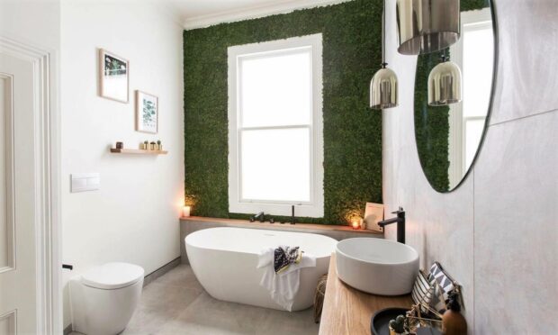 Beautiful Moss Wall Ideas for Your Home - Moss Wall Ideas, Moss Wall, moss