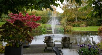 What to Look for When Buying Garden Furniture Online