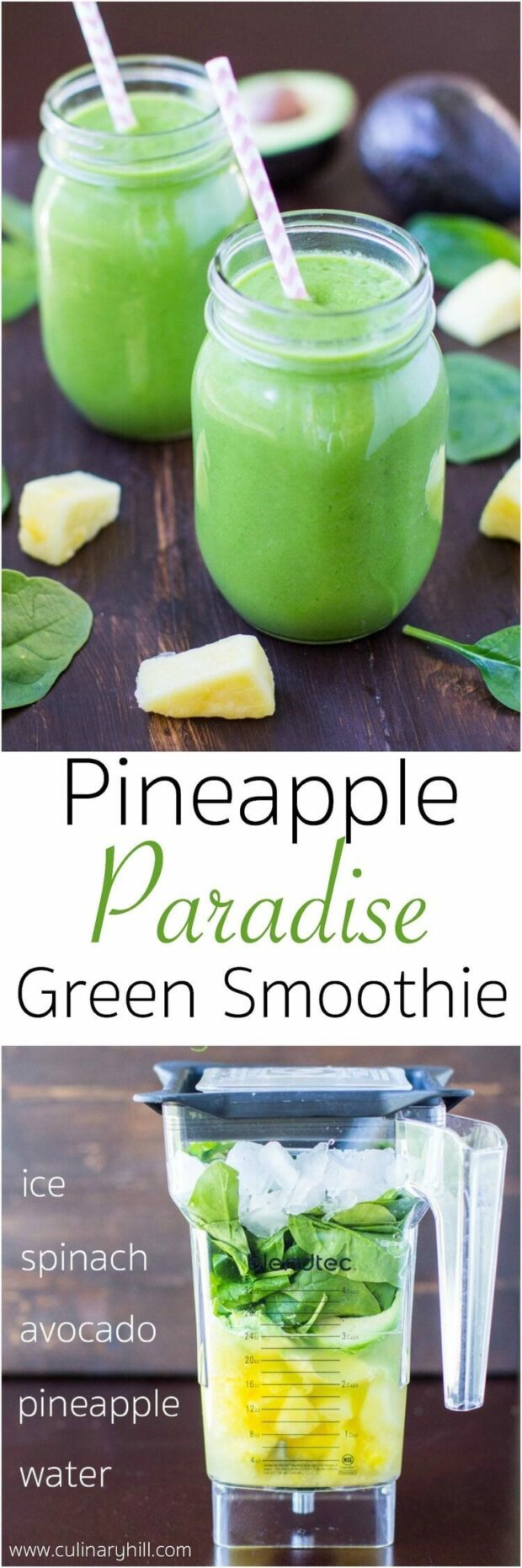 The Best Green Smoothie Recipes: 15 Great Ideas (Part 1)