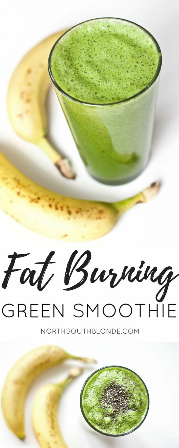 The Best Green Smoothie Recipes: 10 Great Ideas (Part 2) - smoothie recipes, Healthy Smoothie Recipes, Green Smoothie Recipes, Green Smoothie