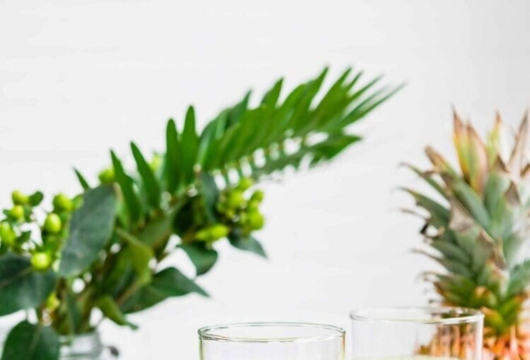 The Best Green Smoothie Recipes: 15 Great Ideas (Part 1) The Best Green Smoothie Recipes: 15 Great Ideas (Part 1) - smoothie recipes, Healthy Smoothie Recipes, Green Smoothie Recipes, Green Smoothie