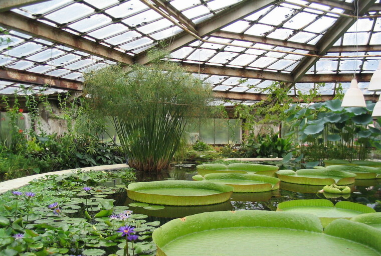 Tech For Your Home Greenhouse in 2020 Tech For Your Home Greenhouse in 2020 - vegetables, indoor, home, greenhouse, garden, freestanding