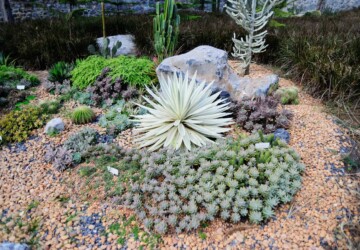 10 Gorgeous And Easy DIY Rock Gardens - DIY Rock Gardens, DIY Rock Garden Ideas, DIY Rock Garden