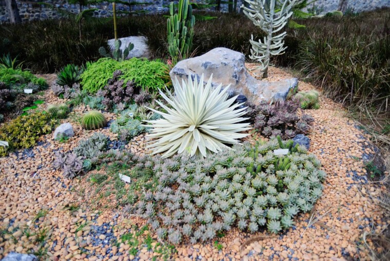 10 Gorgeous And Easy DIY Rock Gardens 10 Gorgeous And Easy DIY Rock Gardens - DIY Rock Gardens, DIY Rock Garden Ideas, DIY Rock Garden