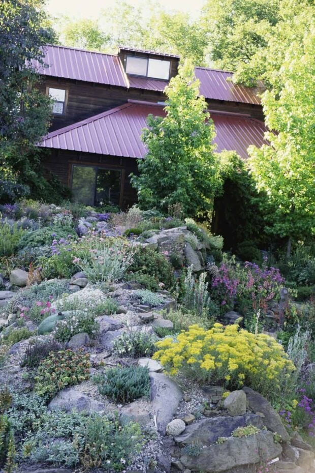 10 Gorgeous And Easy DIY Rock Gardens - DIY Rock Gardens, DIY Rock Garden Ideas, DIY Rock Garden