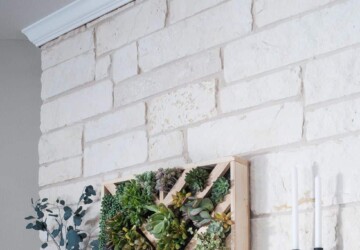 Creative DIY Vertical Gardens For Your Home - DIY Vertical Gardens, DIY Vertical Garden Ideas, DIY Vertical Garden