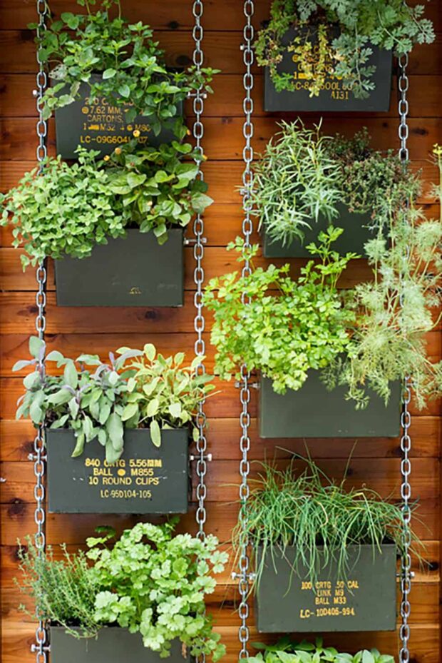 Creative DIY Vertical Gardens For Your Home - DIY Vertical Gardens, DIY Vertical Garden Ideas, DIY Vertical Garden