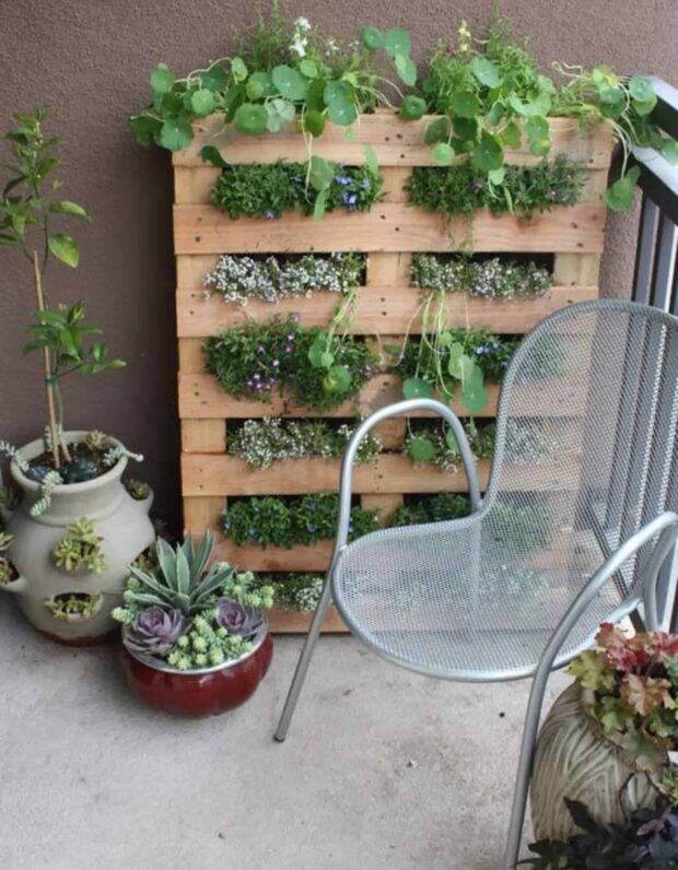 Creative DIY Vertical Gardens For Your Home - DIY Vertical Gardens, DIY Vertical Garden Ideas, DIY Vertical Garden