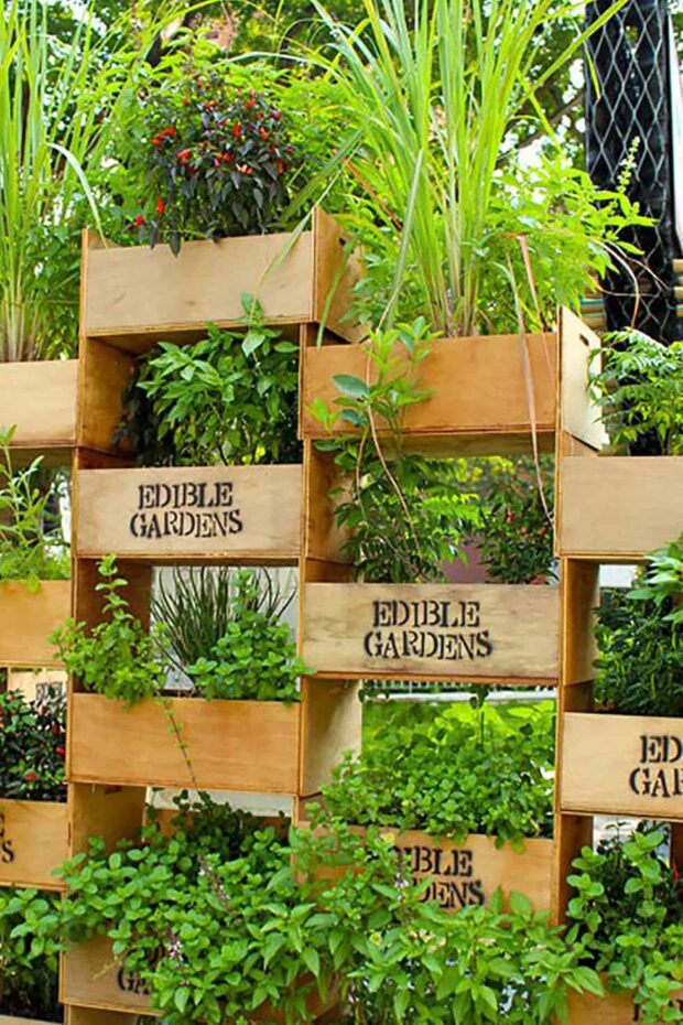 Creative DIY Vertical Gardens For Your Home - DIY Vertical Gardens, DIY Vertical Garden Ideas, DIY Vertical Garden