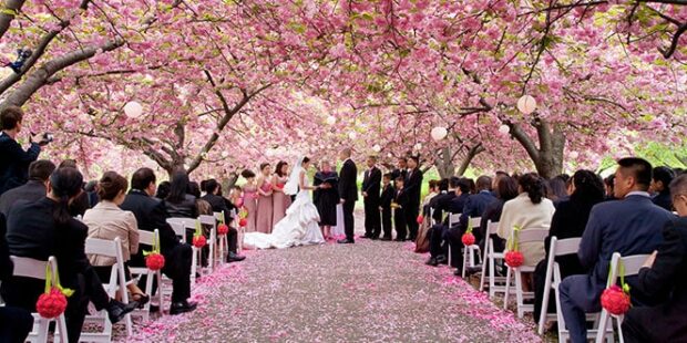 Beautiful Garden Wedding Venues - Wedding Venues, outdoor wedding, Garden Wedding Venues, Garden Wedding Venue