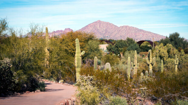 4 Popular Spring Activities to Try in Phoenix - trip, travel, spring, south mountain park, ponderosa stables, phoenix, nature, mountain, hike, desert botanical garden, camelback, activitues