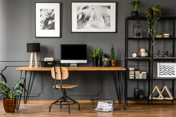 Posters on grey wall above wooden desk in natural home office interior with plants and lamp