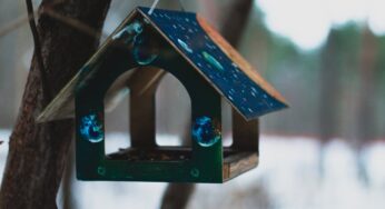 Creative DIY Projects You Can Do at Home