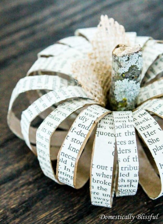 13 Cheap and Easy Fall Decor DIY Ideas