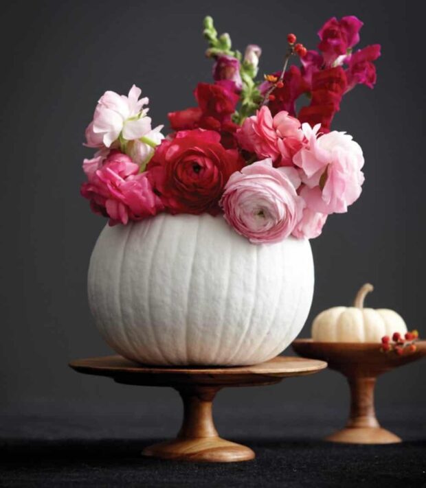 Easy No-Carve Pumpkin Decorating Ideas - Pumpkin Decorating Ideas, No-Carve Pumpkin Decorating Ideas, DIY Pumpkin Decorating Ideas