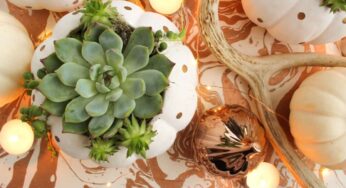 13 Best DIY Fall Centerpiece Ideas for 2020