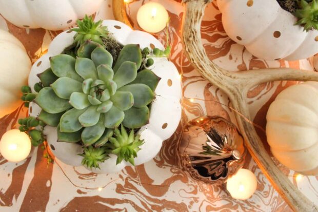 13 Best DIY Fall Centerpiece Ideas for 2020