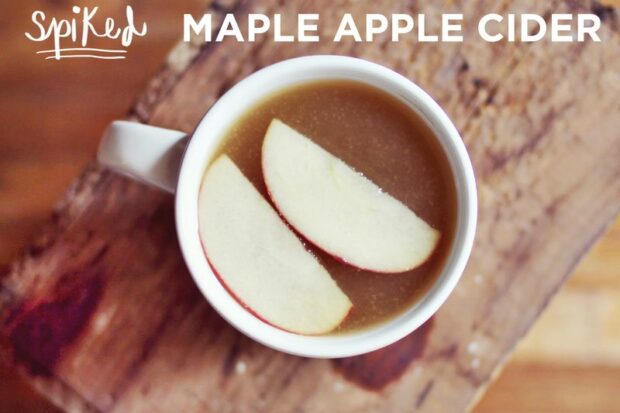 Cozy Apple Cider Recipes for Fall - Apple Cider Vinegar Recipes, Apple Cider Recipes for Fall, Apple Cider Recipes, Apple Cider Recipe, Apple Cider