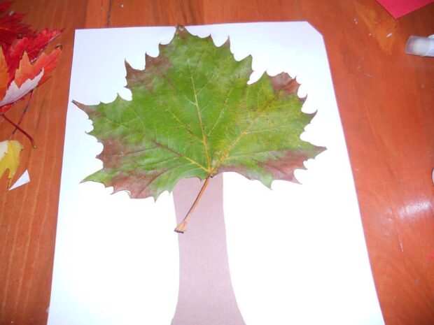 13 Easy Crafts To Make With Fall Leaves