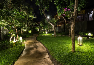 How To Use Landscape Lighting As Part Of Your Outdoor Aesthetic - uplighting, outdoor, mirrir lighting, lighting, landscape, downlighting, aesthetic