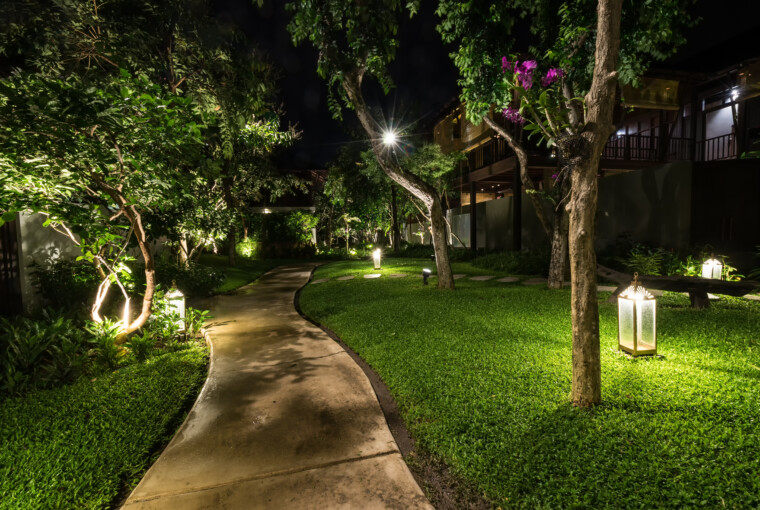 How To Use Landscape Lighting As Part Of Your Outdoor Aesthetic - uplighting, outdoor, mirrir lighting, lighting, landscape, downlighting, aesthetic