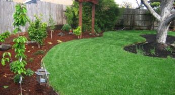 How To Find The Best Little Rock Landscaping Company