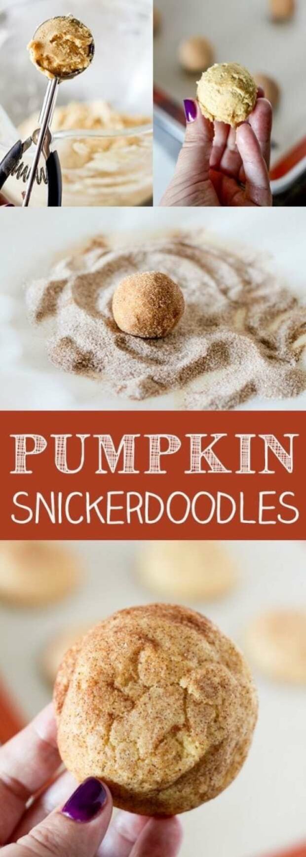 15 Fall Cookie Recipes to Embrace the Best Fall Flavors (Part 1) - fall dessert recipes, Fall Cookies, Fall Cookie Recipes, Fall Cookie, Cookie Recipes