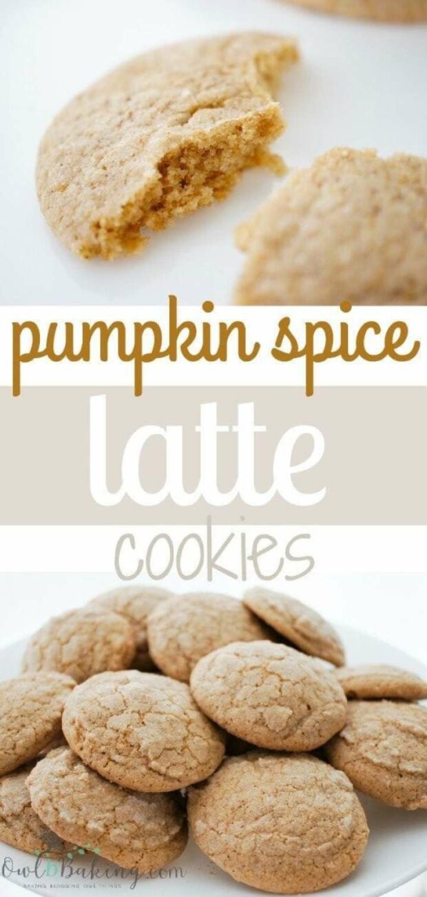 15 Fall Cookie Recipes to Embrace the Best Fall Flavors (Part 1) - fall dessert recipes, Fall Cookies, Fall Cookie Recipes, Fall Cookie, Cookie Recipes