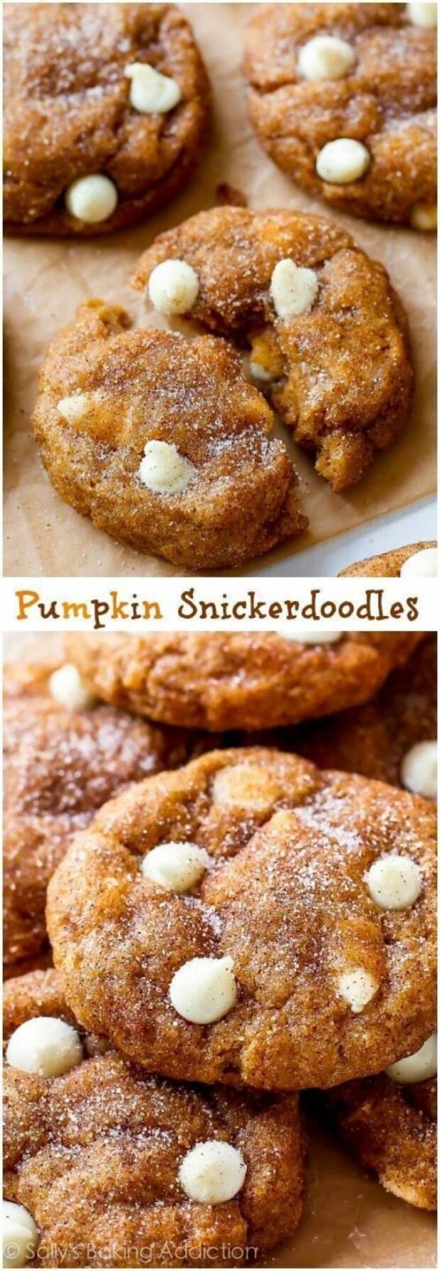 15 Fall Cookie Recipes to Embrace the Best Fall Flavors (Part 2) - fall dessert recipes, Fall Cookies, Fall Cookie Recipes, Fall Cookie, Cookie Recipes