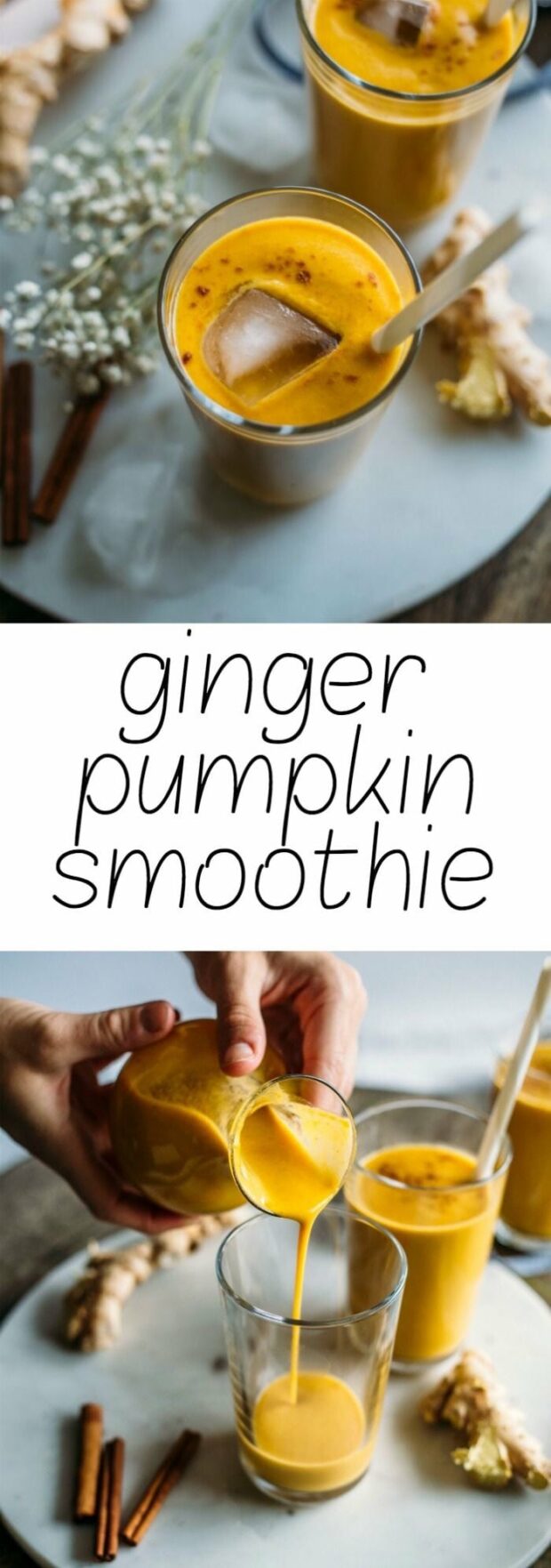 15 Delicious Smoothies To Make This Fall (Part 1) - Healthy Fall Smoothie Recipes, Healthy Fall Smoothie, fall Smoothie Recipes, fall Smoothie