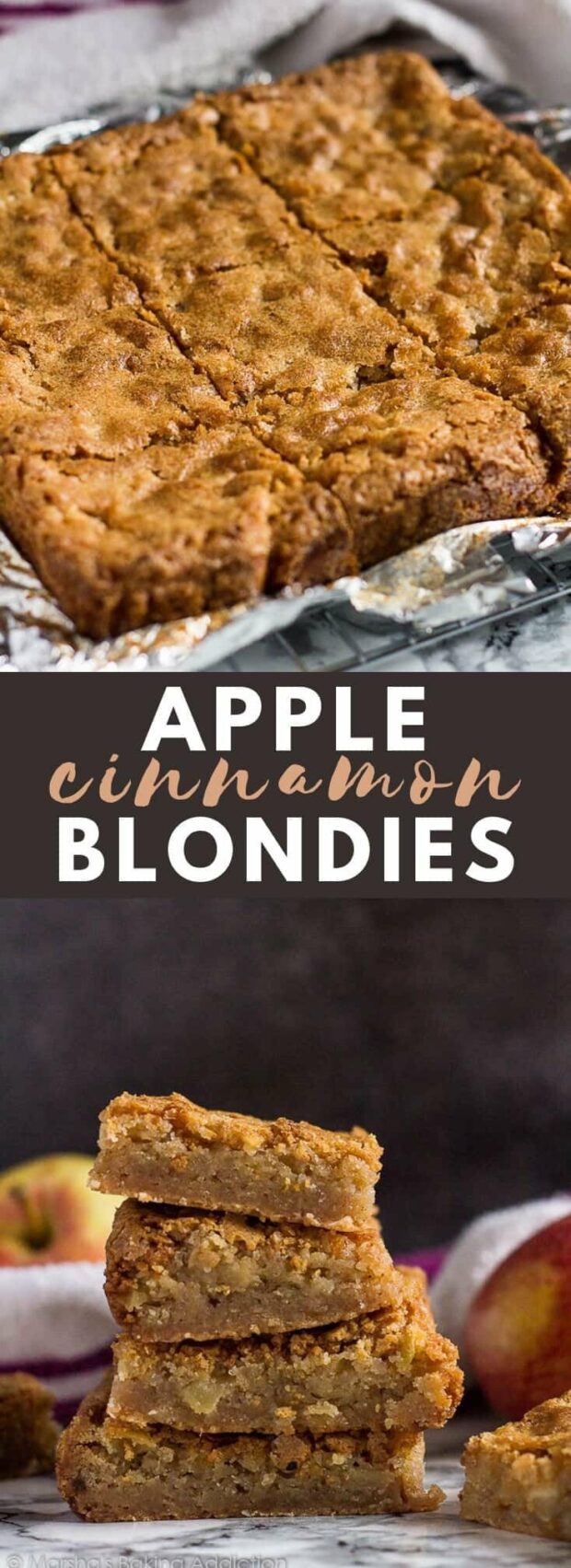 13 Best Cinnamon Spice Recipes (Part 2) - Cinnamon Spice Recipes, Cinnamon Spice