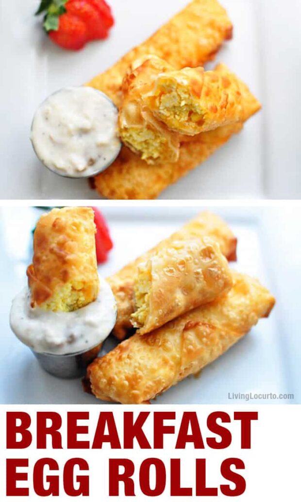 13 Delicious Crispy Egg Roll Recipes - Egg Roll Recipes, Egg Roll Recipe, Egg Roll