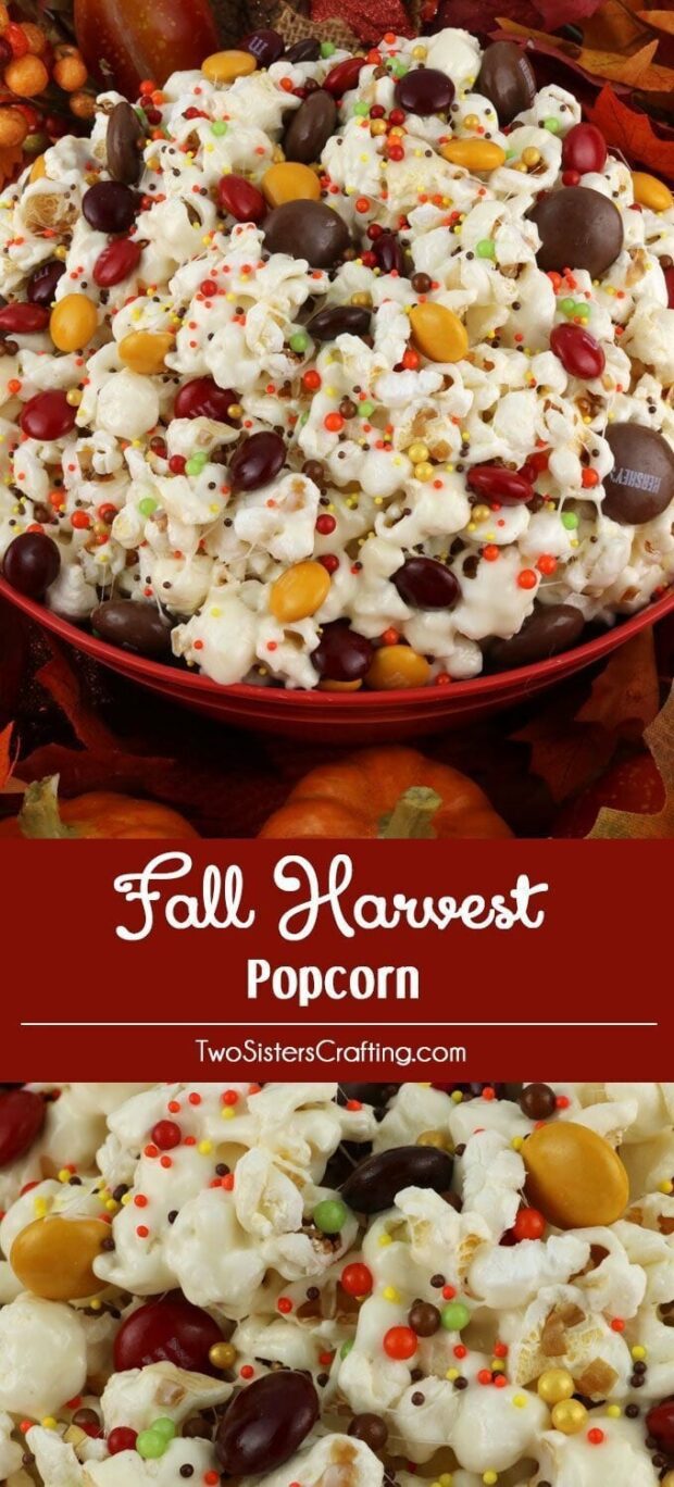 15 Homemade Popcorn Recipes For Movie Night (Part 3) - Popcorn Recipes for Movie Night, Popcorn Recipes, Homemade Popcorn Recipes