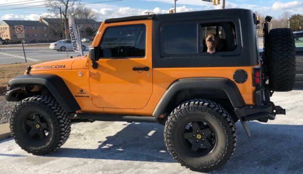 Hardtop vs. Soft Tops: Which Is Better for Your Jeep Wrangler? - wrangler, Soft Top, offroad, jeep, hardtop, car