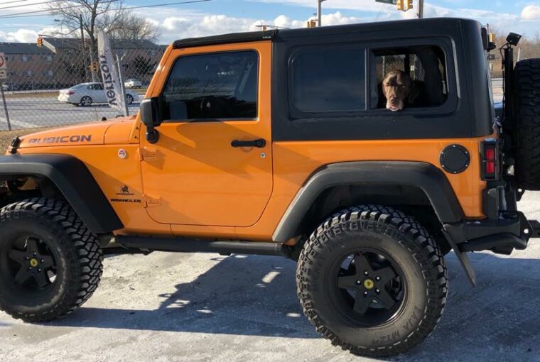 Hardtop vs. Soft Tops: Which Is Better for Your Jeep Wrangler? Hardtop vs. Soft Tops: Which Is Better for Your Jeep Wrangler? - wrangler, Soft Top, offroad, jeep, hardtop, car