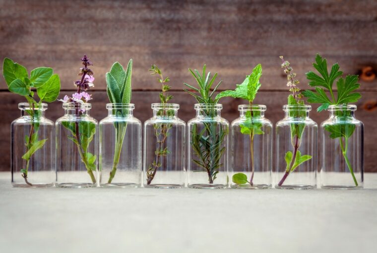 12 of the Best Essential Oils to Get You In the Mood For Love 12 of the Best Essential Oils to Get You In the Mood For Love - oils, health, essential