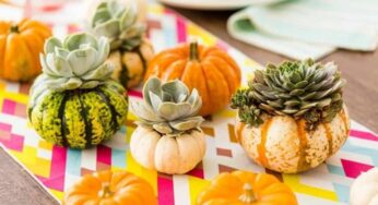 13 Cute and Simple DIY Decor Ideas for Thanksgiving