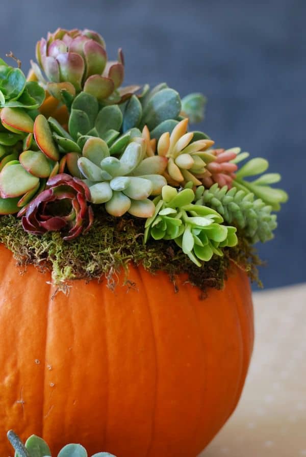 13 Stunning DIY Thanksgiving Table Decor Ideas for 2020 - Thanksgiving Table Decor Ideas, DIY Thanksgiving Table Decor Ideas, DIY Thanksgiving Table Decor