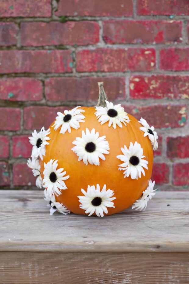 13 Creative DIY Halloween Pumpkins - Halloween Pumpkins, DIY pumpkins, DIY Halloween Pumpkins, DIY Halloween Pumpkin, DIY Halloween Decor