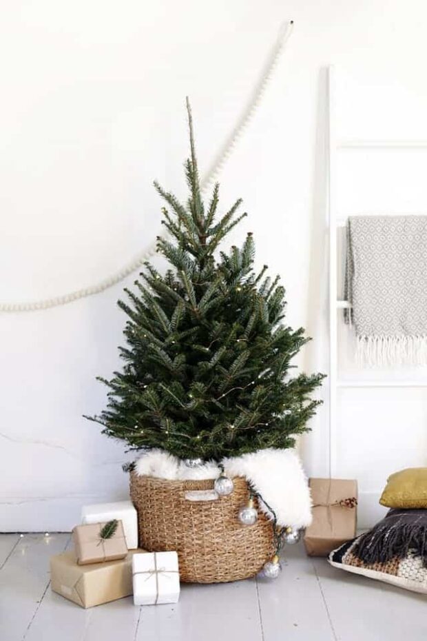 13 Non-Traditional Christmas Tree Ideas - Non-Traditional Christmas Tree Ideas, Non-Traditional Christmas Tree, Christmas Tree Ideas