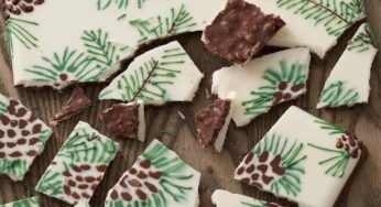 13 Delicious Winter Bark Recipes