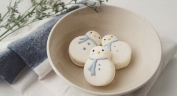 12 Recipes for The Best Winter Flavored Macarons (Part 1)