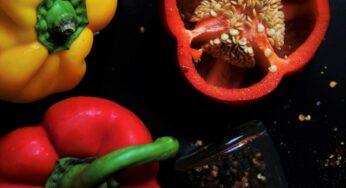 5 Expert Grilling Tips for Vegetarians