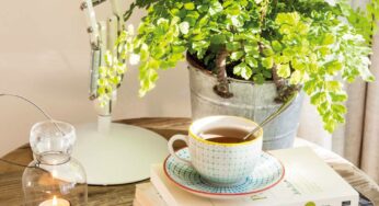 Ideas to Reuse Coffee